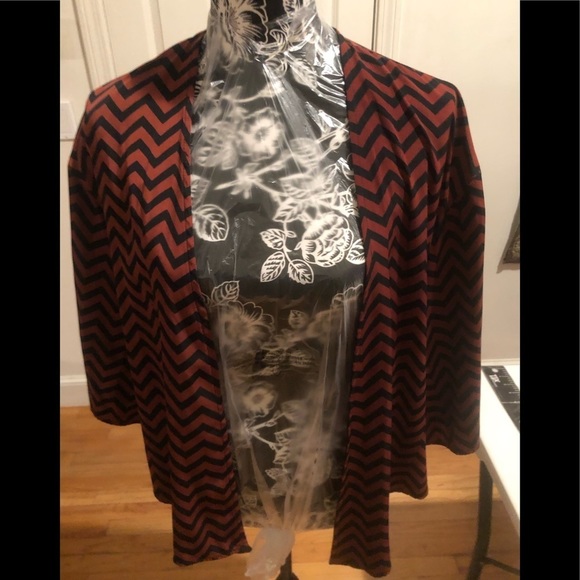 Whisper size Large lightweight jacket rust & navy chevron print open front - Picture 7 of 11